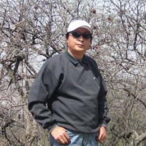杨光利
